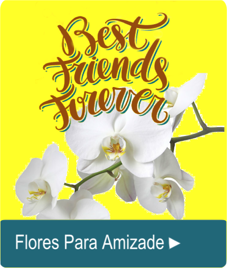 Flores Amizade - Floricultura Taquari Flores