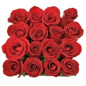 Caixa Com Rosas Vermelhas - Imagem 3