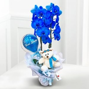 Presente Maternidade Orquidea Azul e Menino Aviador
