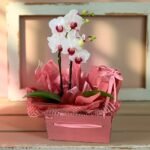 Mini Orquídea e Wafer